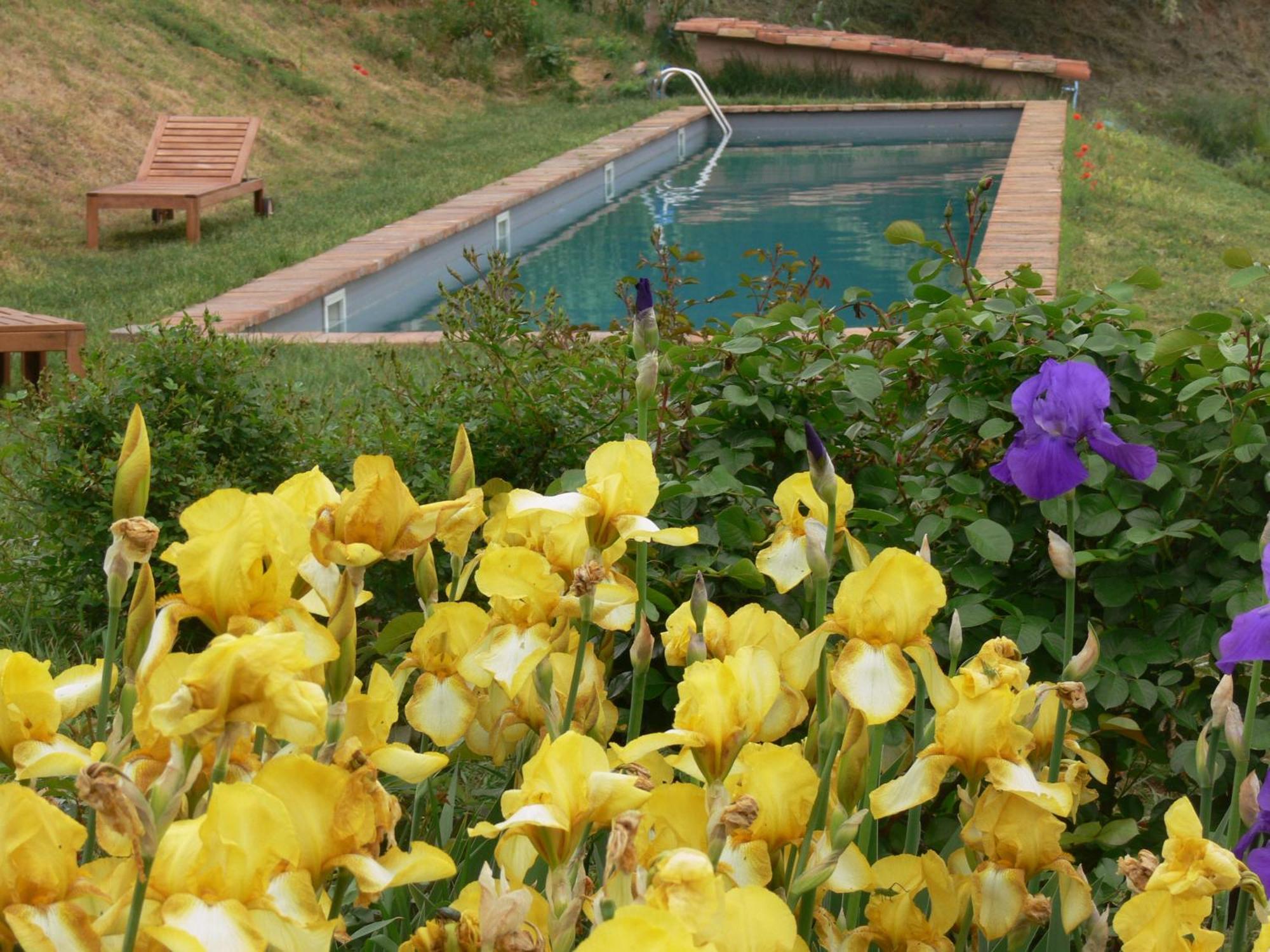 Casa Isabella Guest House Vaglio Serra Exterior foto